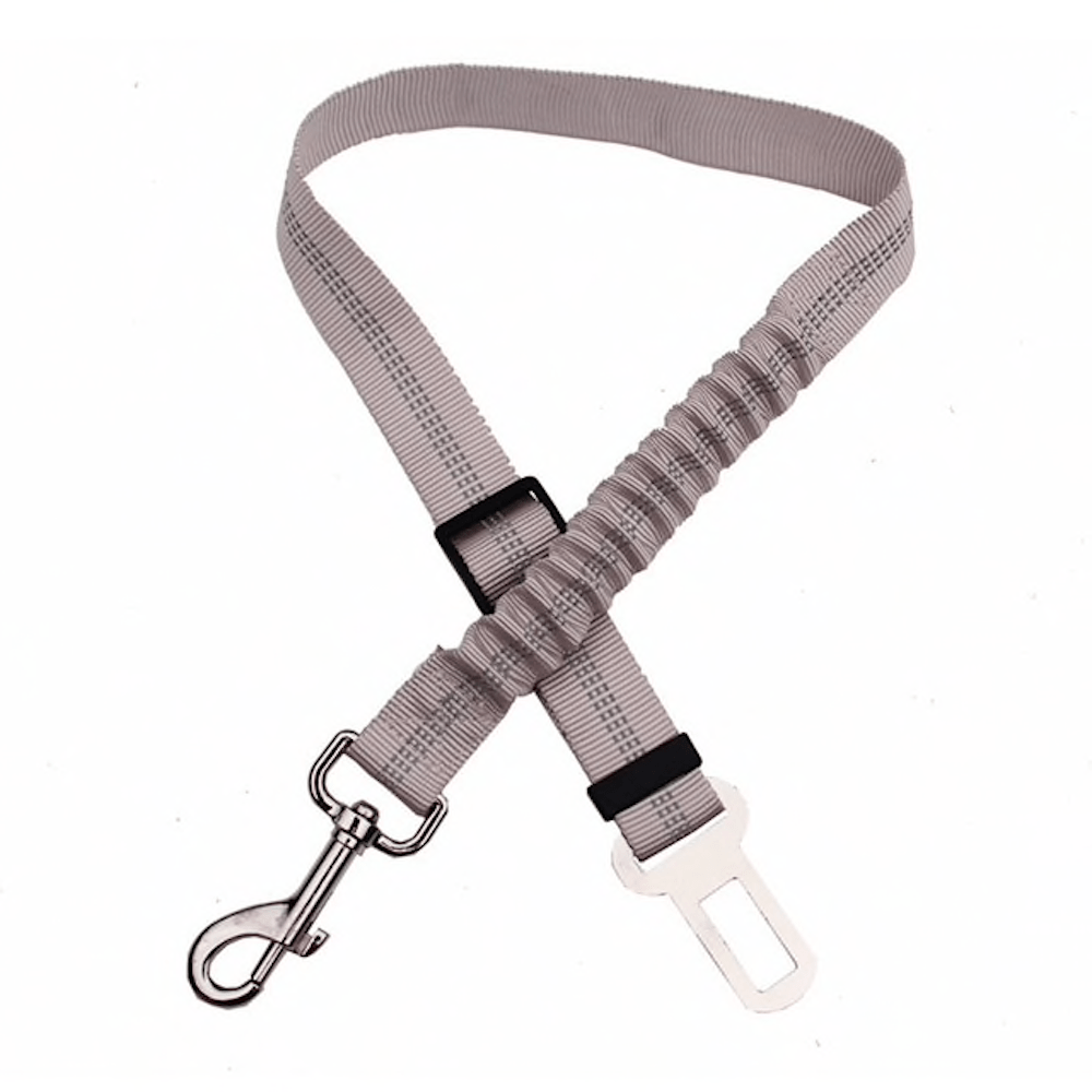 Glamorous Pups : Car Elastic Safety Leash