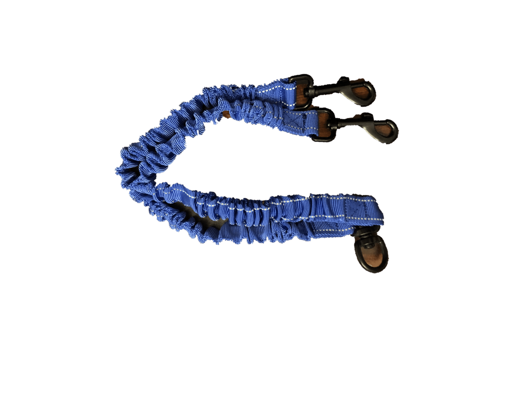 Glamorous Pups : Dual Bungee Leash Add-On