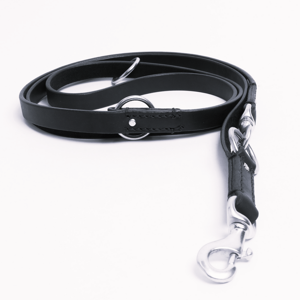 Glamorous Pups : Multi-function Leash