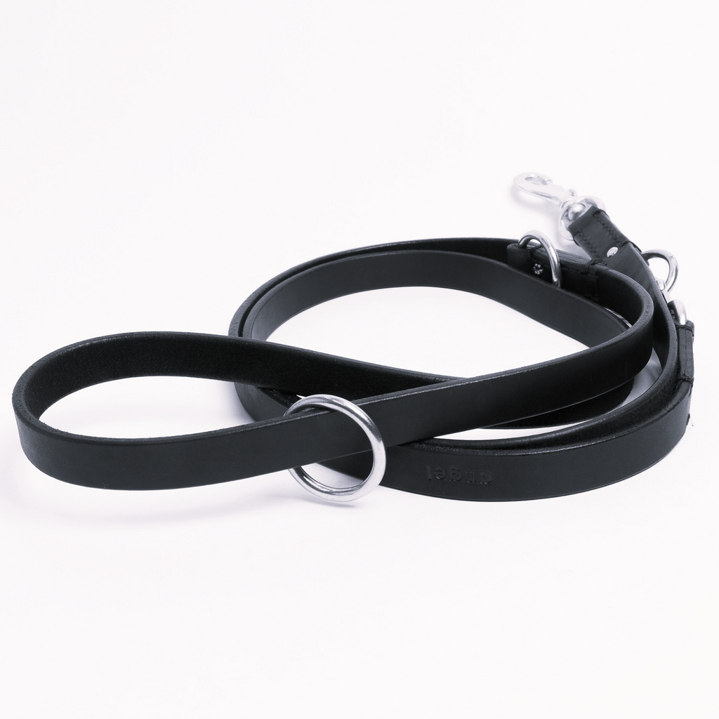 Glamorous Pups : Multi-function Leash