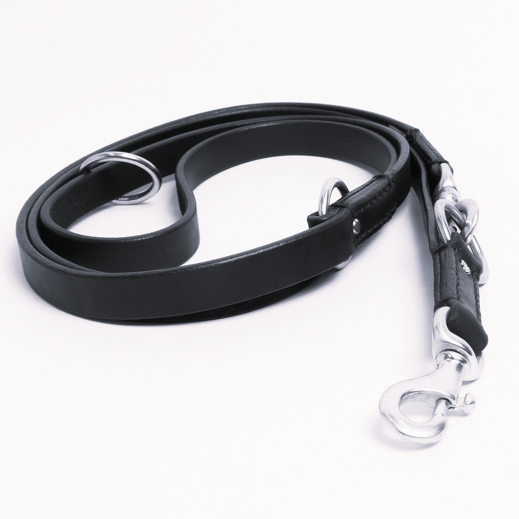 Glamorous Pups : Multi-function Leash