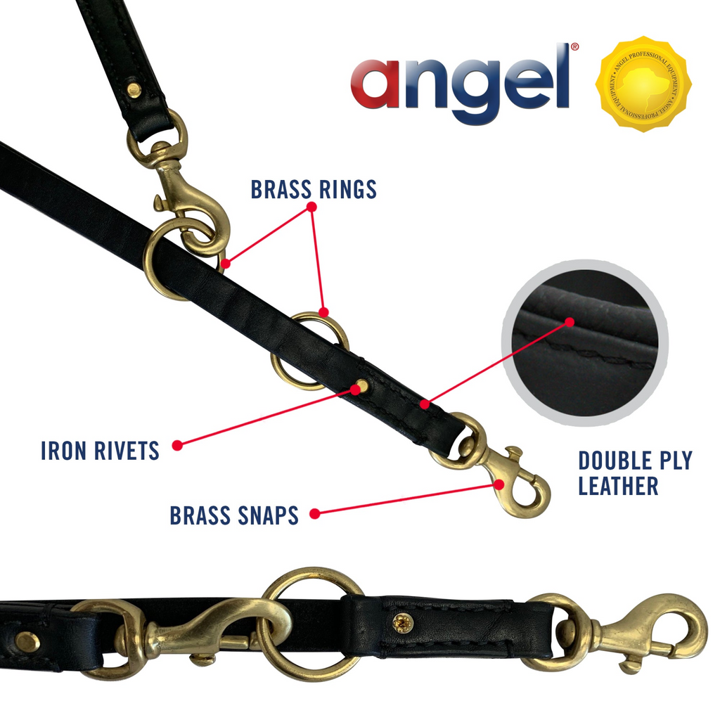 Glamorous Pups : Multi-function Leash