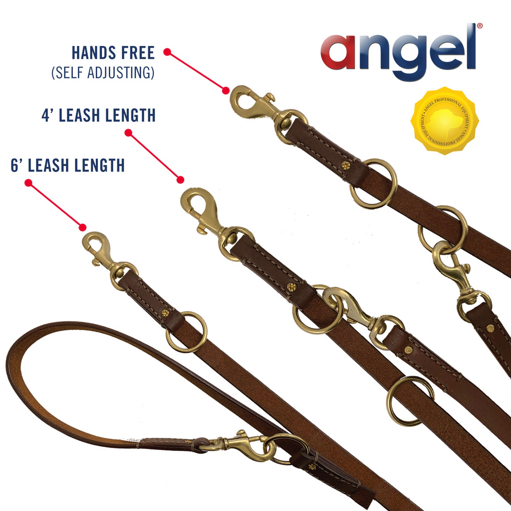 Glamorous Pups : Multi-function Leash