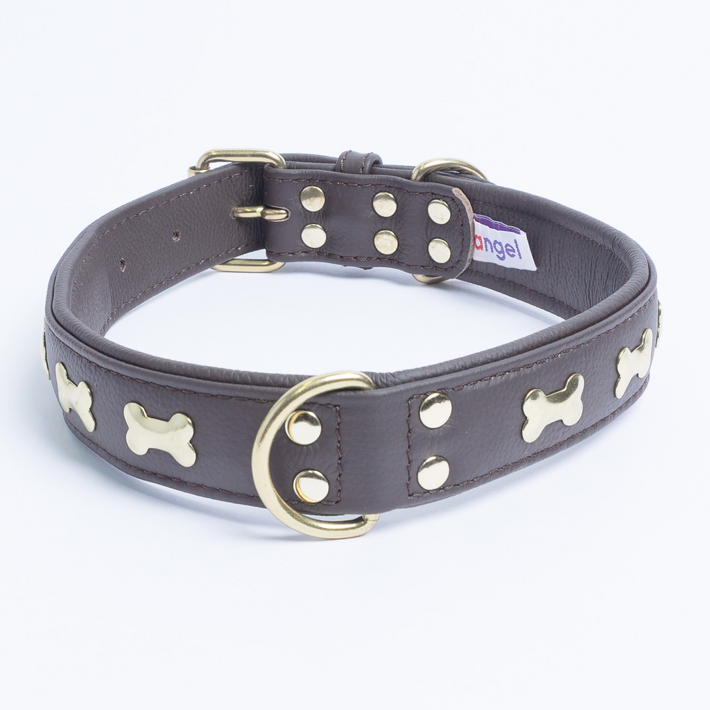 Glamorous Pups : Rotterdam Bones Leather Dog Collar – Classic Genuine Leather Collar with Metal Bone Accents & Center D-Ring for Style and Control