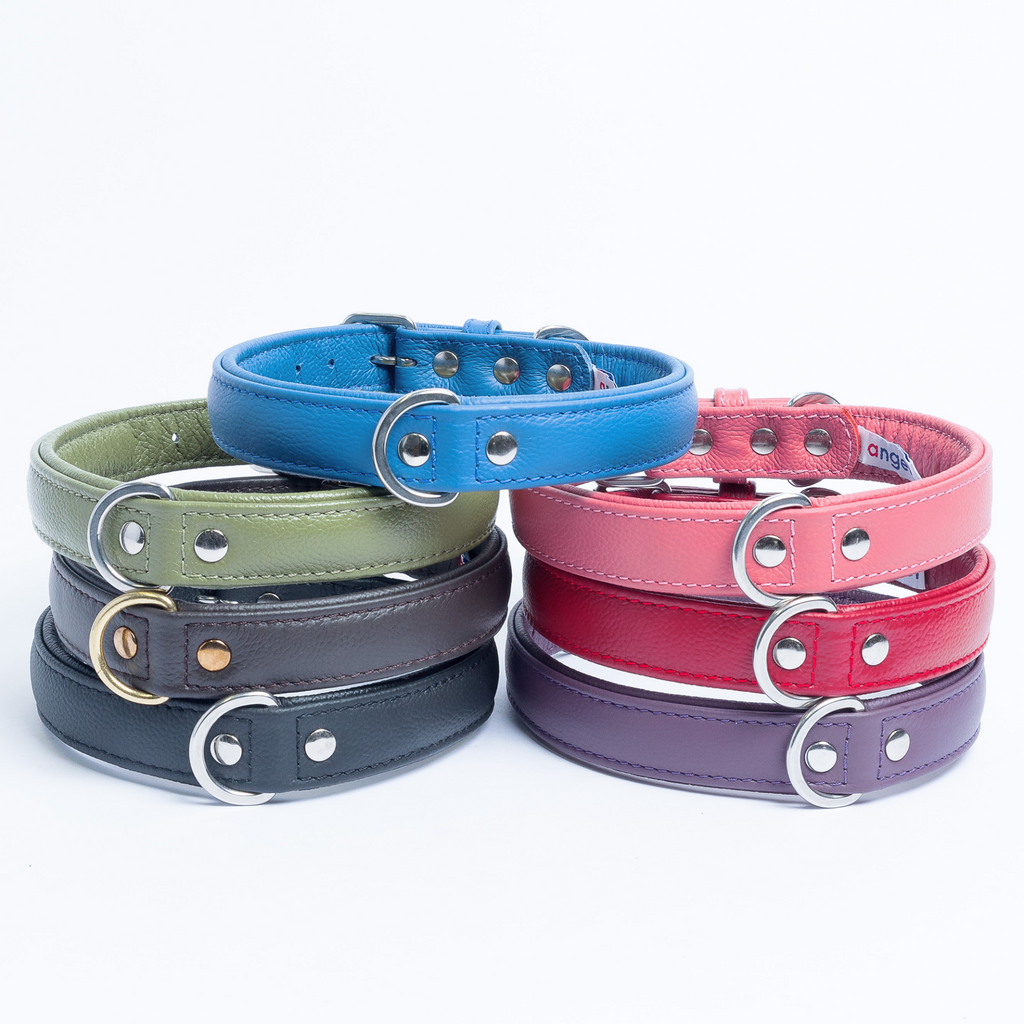 Glamorous Pups : Alpine Collar