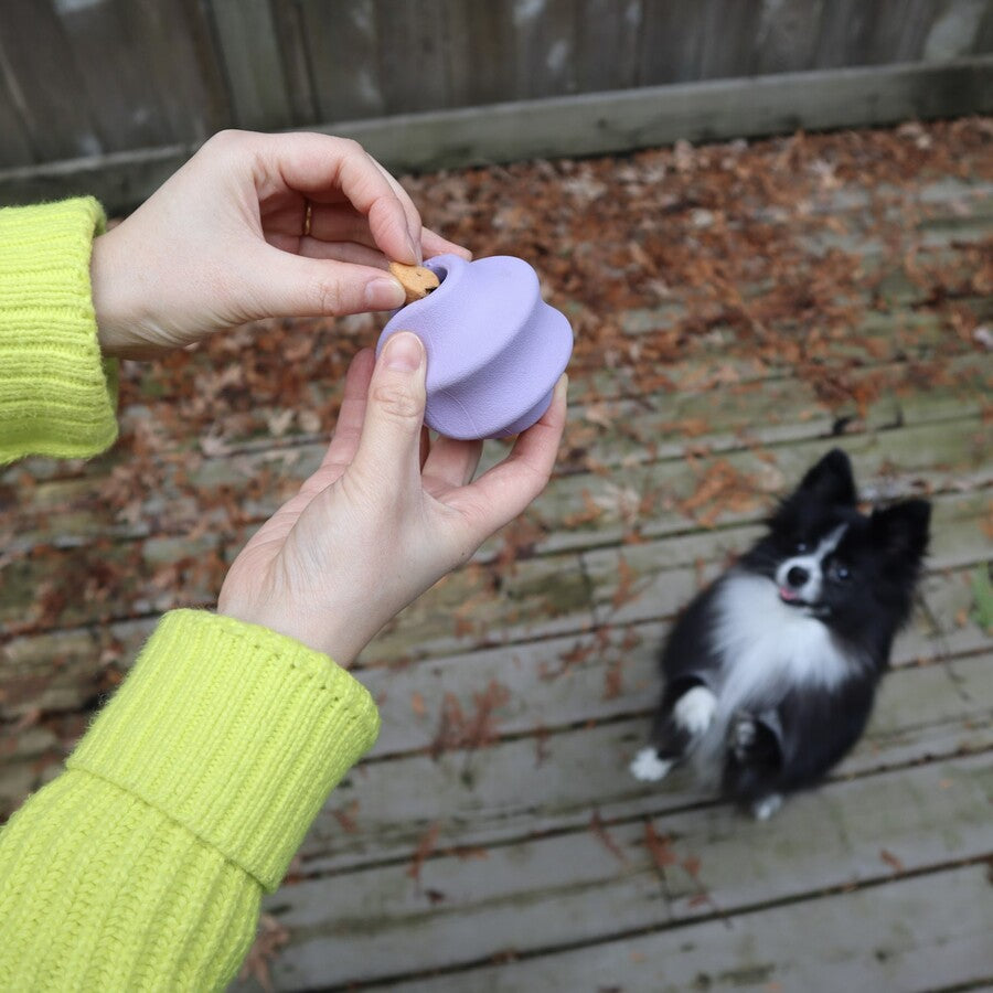 Glamorous Pups : Pet Playtime Set – Chew-Proof, Enriching, and Safe Toys for Active Pets