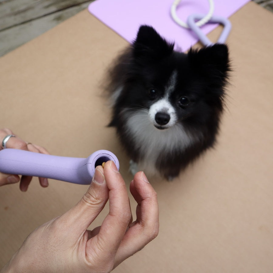 Glamorous Pups : Pet Playtime Set – Chew-Proof, Enriching, and Safe Toys for Active Pets
