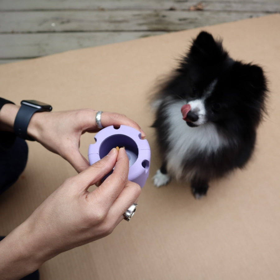 Glamorous Pups : Pet Playtime Set – Chew-Proof, Enriching, and Safe Toys for Active Pets