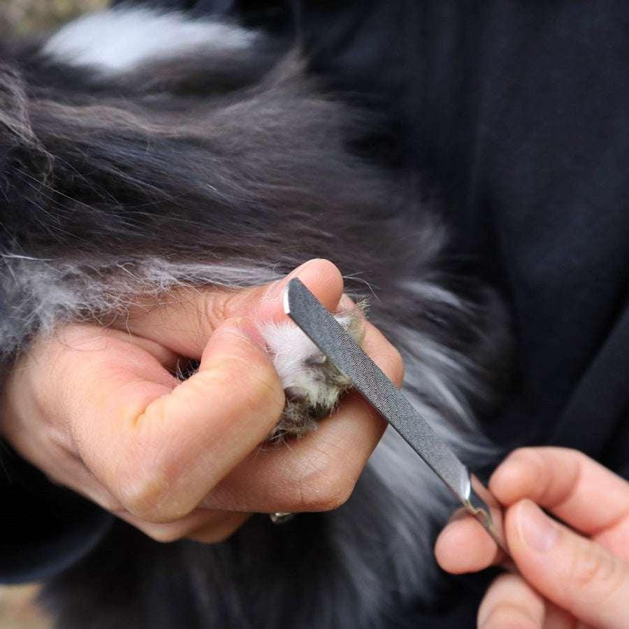 Glamorous Pups : Pet Grooming Set – Complete At-Home Spa Kit for Relaxed, Stress-Free Pet Care