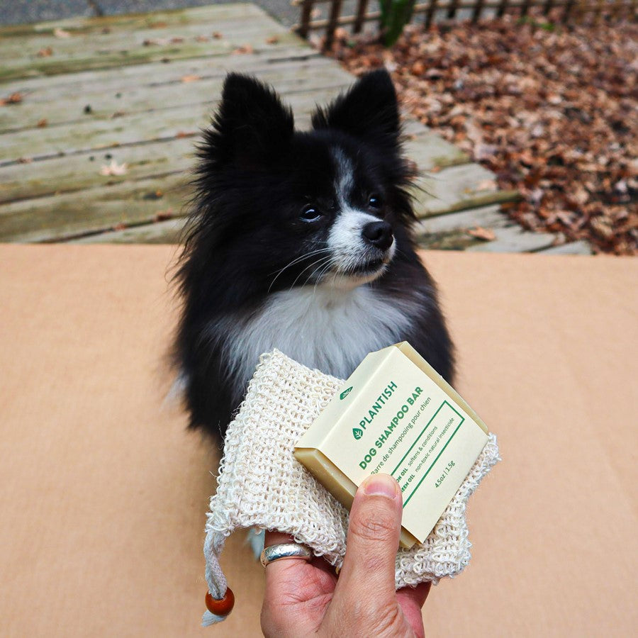 Glamorous Pups : Pet Grooming Set – Complete At-Home Spa Kit for Relaxed, Stress-Free Pet Care