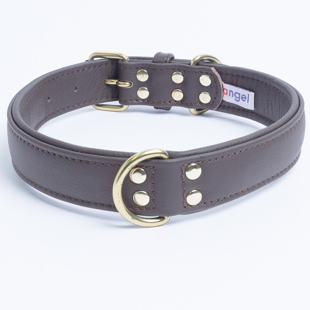 Glamorous Pups : Alpine Collar