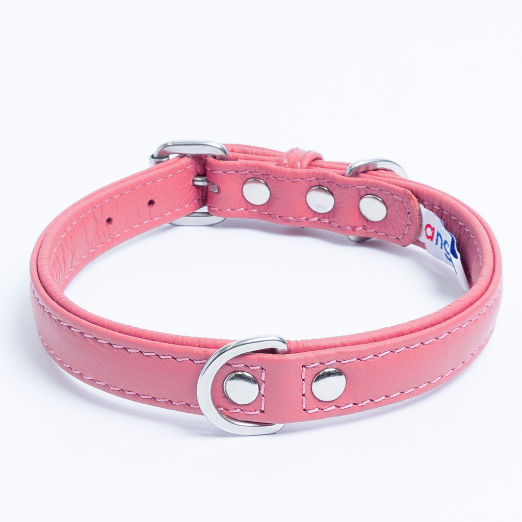 Glamorous Pups : Alpine Collar