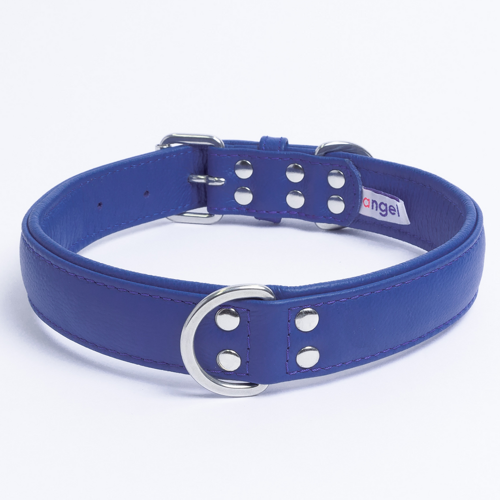 Glamorous Pups : Alpine Collar