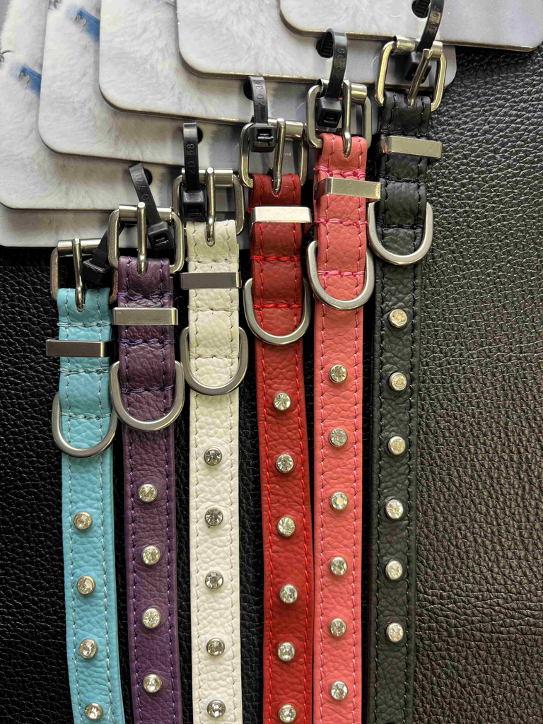 Glamorous Pups : Athens