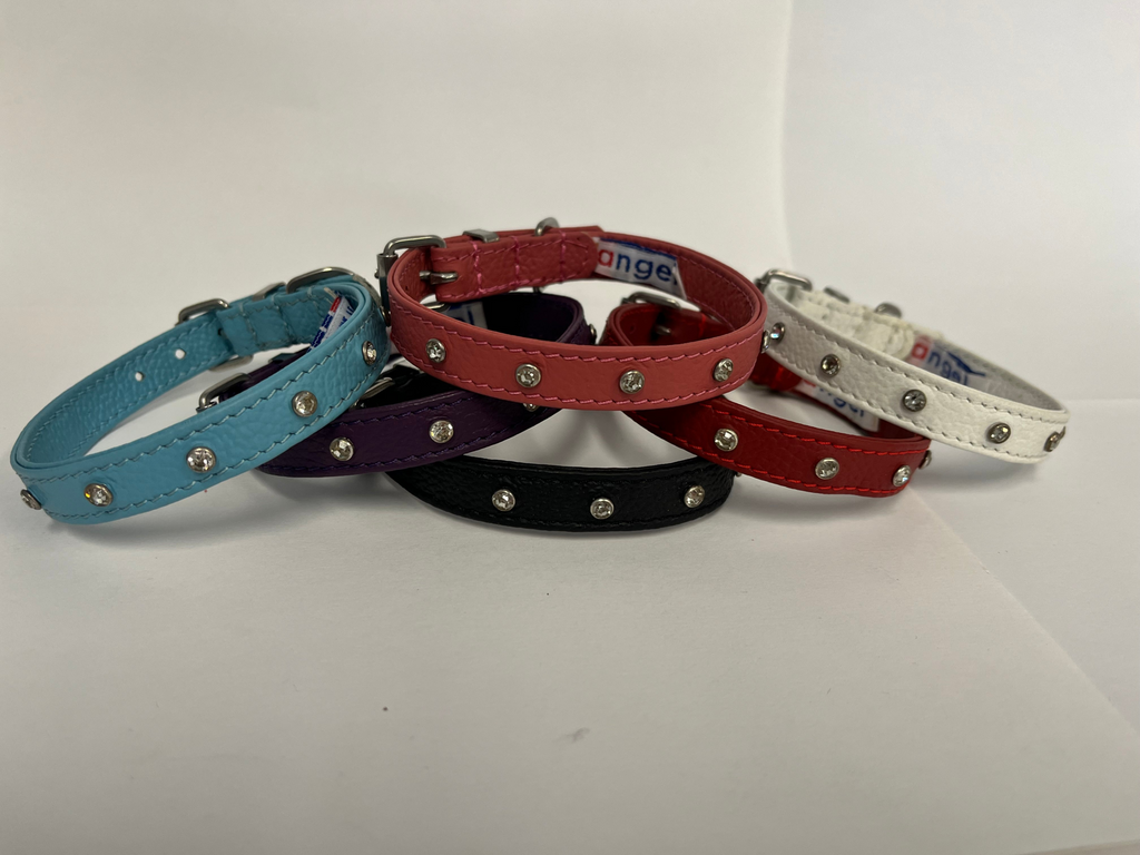 Glamorous Pups : Athens