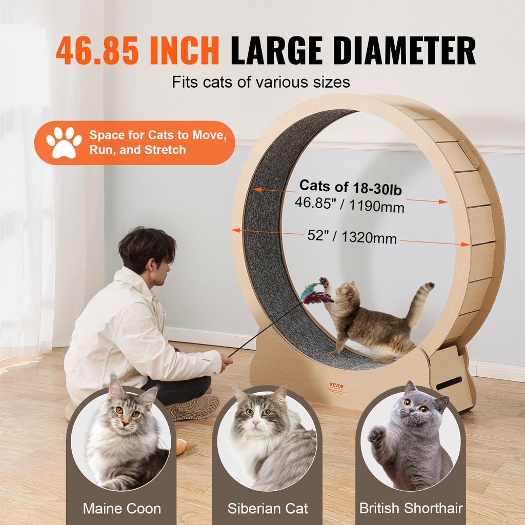 Glamorous Pups : VEVOR 52” Wooden Cat Exercise Wheel | XXL Indoor Cat Running Treadmill with Detachable Carpet & Teaser Toy – Quiet, Durable Fitness Wheel for Large Cats