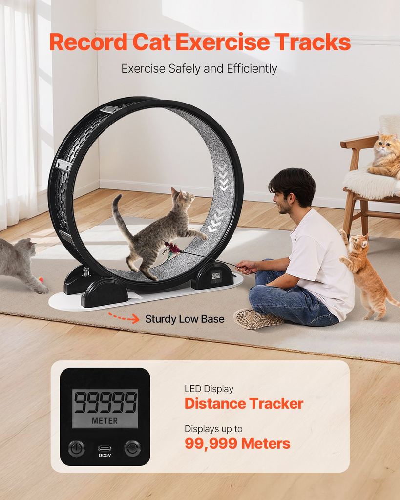 Glamorous Pups : VEVOR 40.8” Cat Exercise Wheel with Pedometer | Quiet Indoor Cat Running Wheel with Brake & Soft Carpet Runway – Fitness Treadmill for Cats up to 30 lbs (Black)