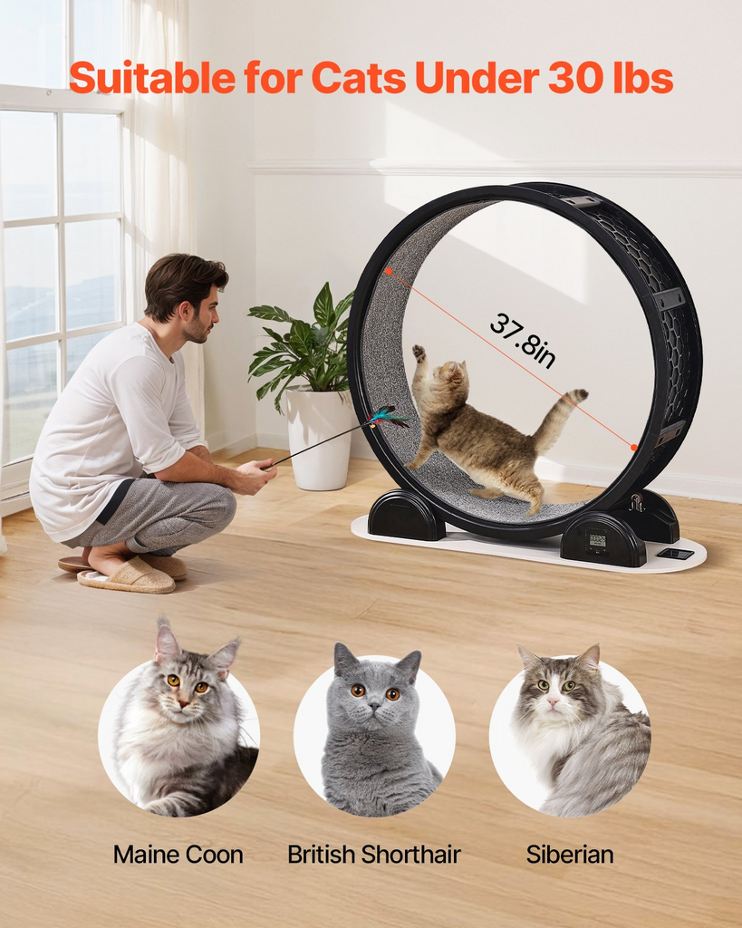 Glamorous Pups : VEVOR 40.8” Cat Exercise Wheel with Pedometer | Quiet Indoor Cat Running Wheel with Brake & Soft Carpet Runway – Fitness Treadmill for Cats up to 30 lbs (Black)