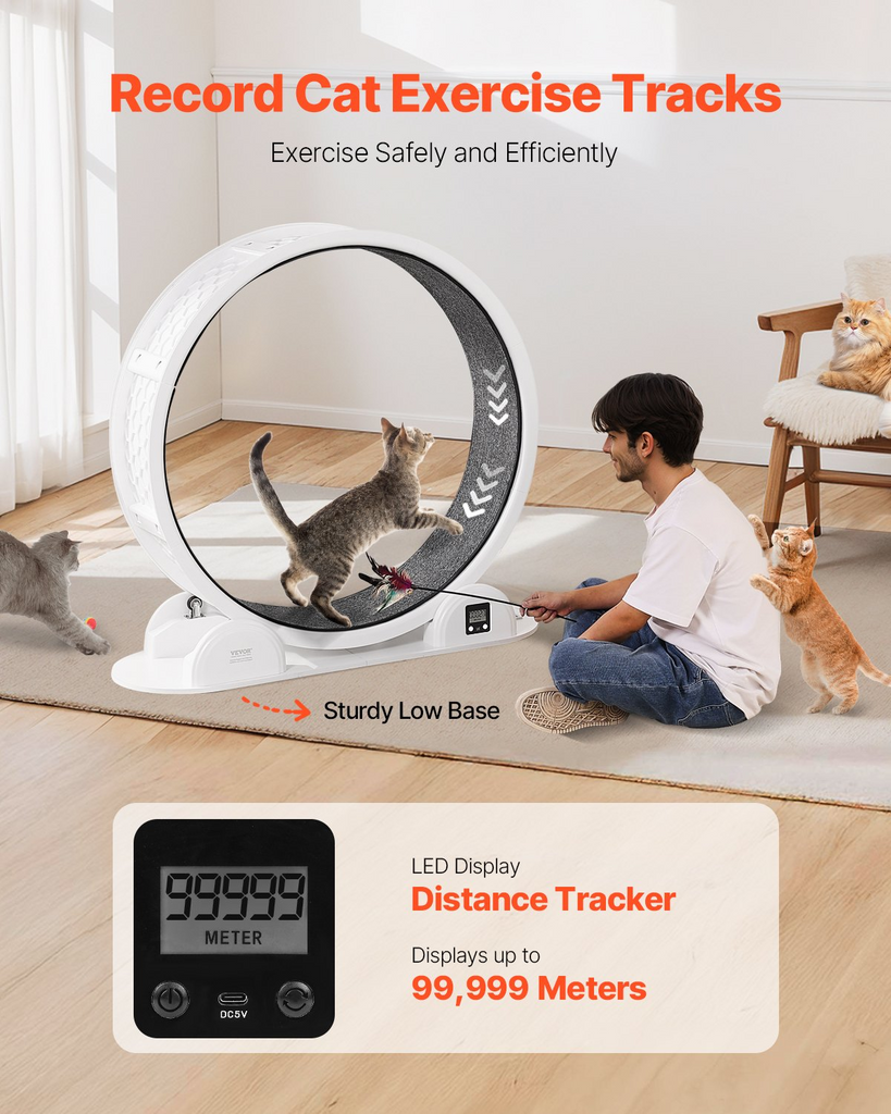 Glamorous Pups : VEVOR 40.8” Cat Exercise Wheel with Pedometer | Quiet Indoor Cat Treadmill with Brake & Carpeted Runway – White Fitness Wheel for Cats Under 30 lbs