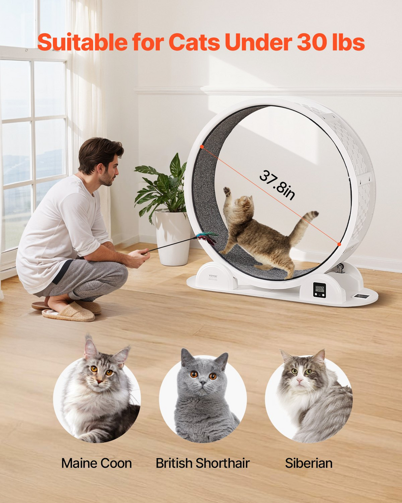 Glamorous Pups : VEVOR 40.8” Cat Exercise Wheel with Pedometer | Quiet Indoor Cat Treadmill with Brake & Carpeted Runway – White Fitness Wheel for Cats Under 30 lbs