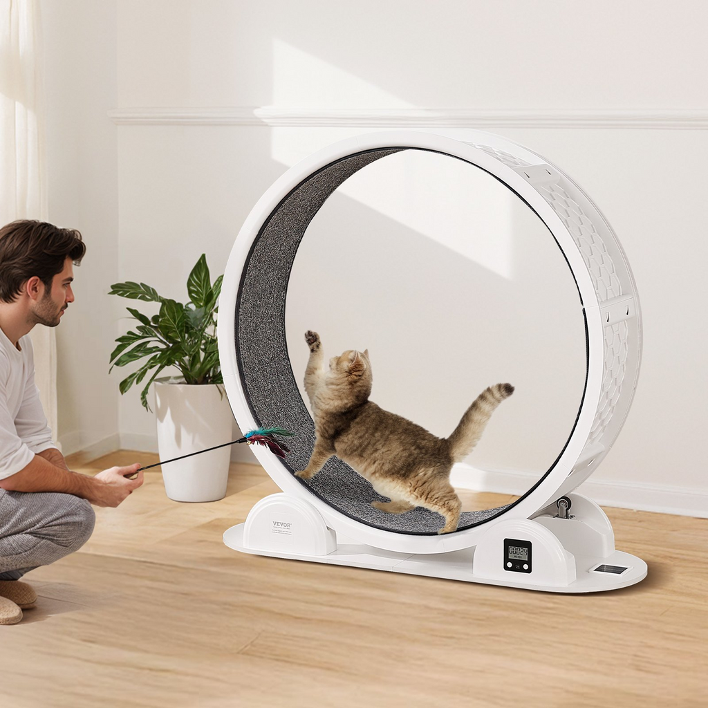 Glamorous Pups : VEVOR 40.8” Cat Exercise Wheel with Pedometer | Quiet Indoor Cat Treadmill with Brake & Carpeted Runway – White Fitness Wheel for Cats Under 30 lbs