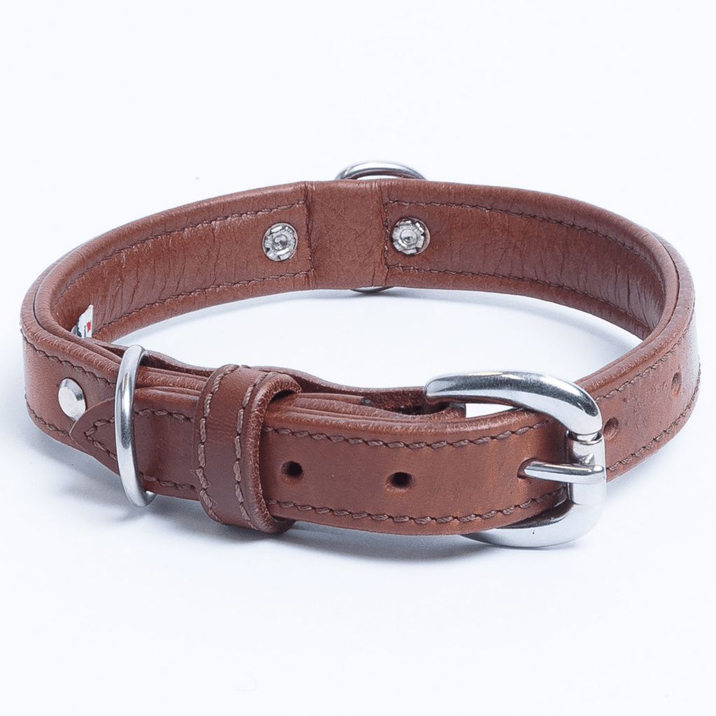 Glamorous Pups : Dallas Premium Leather Dog Collar – Elite Handcrafted Argentinean Leather in Brown, Pink & Purple