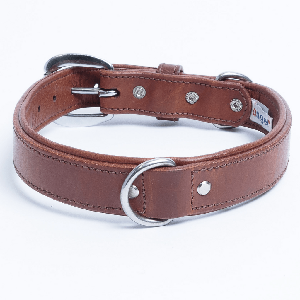 Glamorous Pups : Dallas Premium Leather Dog Collar – Elite Handcrafted Argentinean Leather in Brown, Pink & Purple