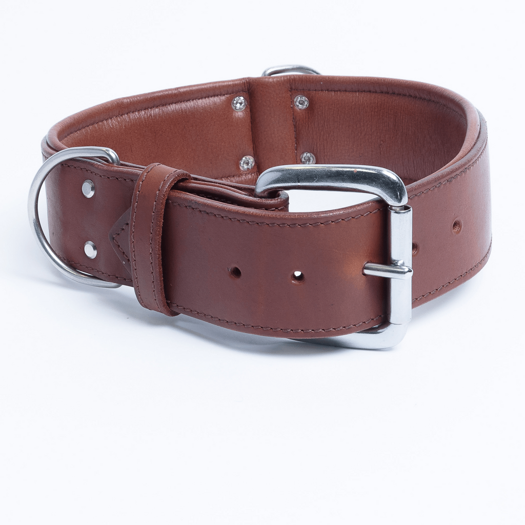 Glamorous Pups : Dallas Premium Leather Dog Collar – Elite Handcrafted Argentinean Leather in Brown, Pink & Purple