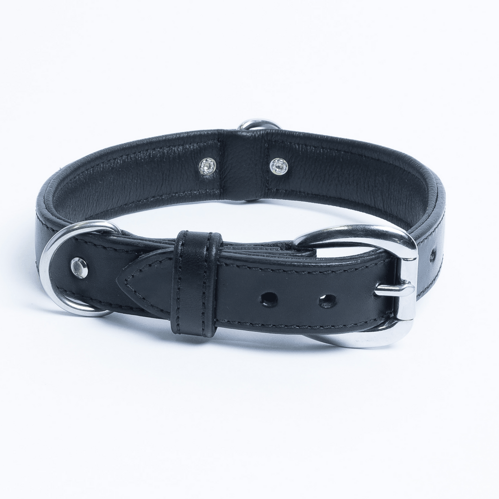 Glamorous Pups : Dallas Premium Leather Dog Collar – Elite Handcrafted Argentinean Leather in Brown, Pink & Purple