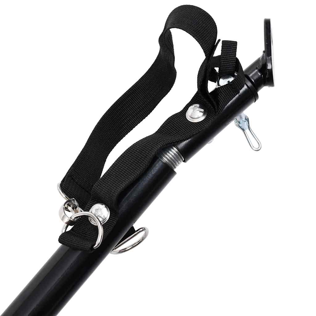 Glamorous Pups : vidaXL Pet Bike Trailer Blue and Black