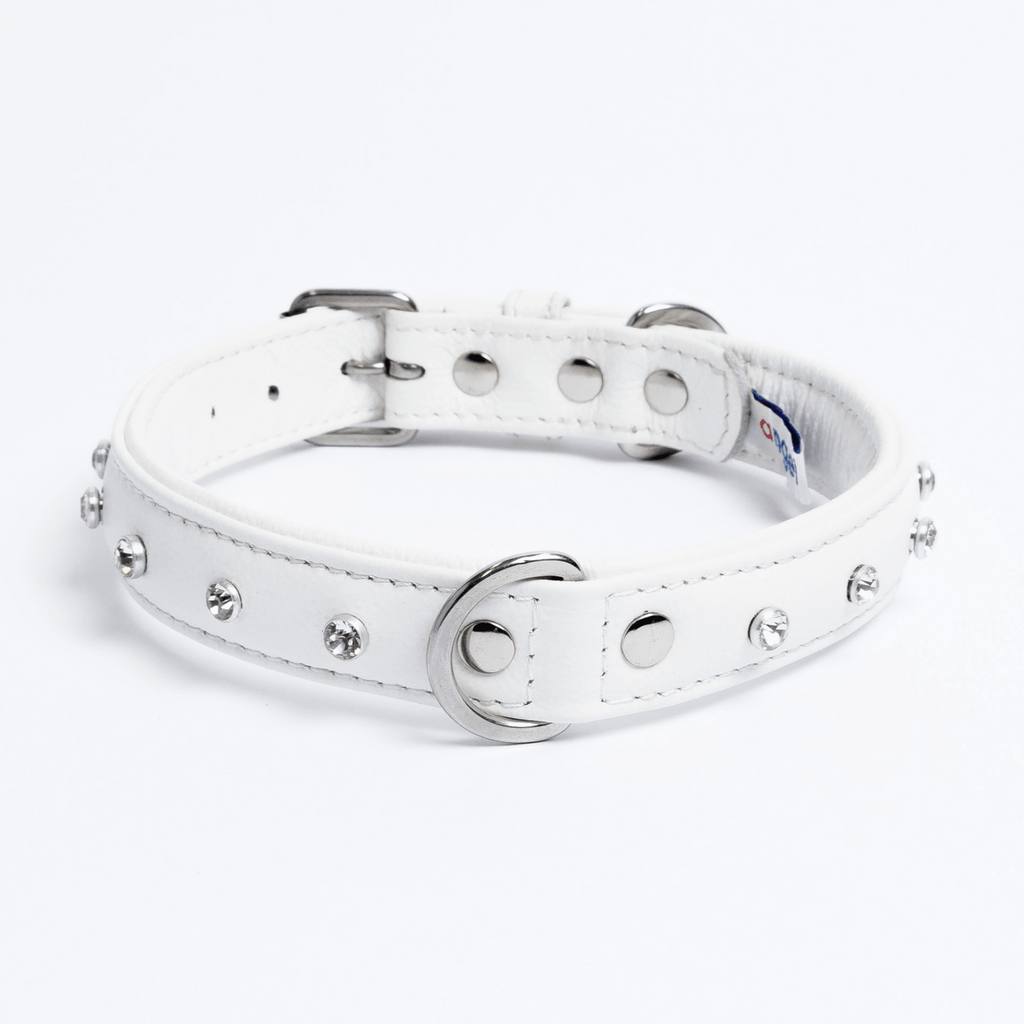 Glamorous Pups : Athens