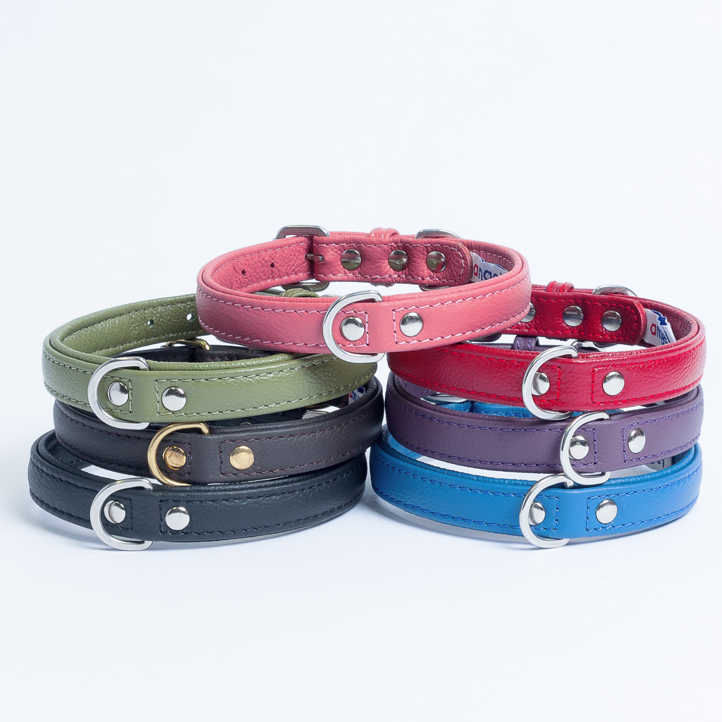 Glamorous Pups : Alpine Collar