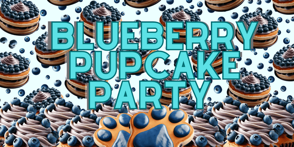 Promotional banner for Blueberry Pupcake Party by Glamorous Pups, showcasing stacks of decadent pancakes topped with blueberry cream and fresh blueberries against a playful background. The text 'Blueberry Pupcake Party' overlays the image in bold teal letters, highlighting the treat's luxurious, fruity appeal. This vibrant, eye-catching design effectively markets these gourmet dog treats, emphasizing their quality and appeal for dog owners seeking premium, tasty snacks.