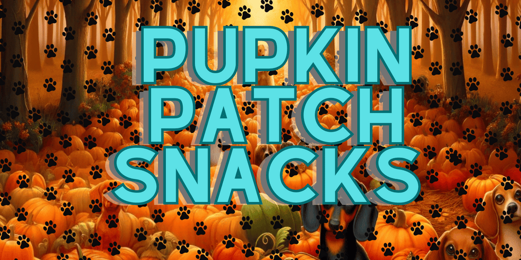 Vibrant promotional banner for Pupkin Patch Snacks Dog Treats by Glamorous Pups, featuring playful dogs amidst a scenic pumpkin patch, highlighted with paw print patterns and bold text, perfect for festive fall dog treats.