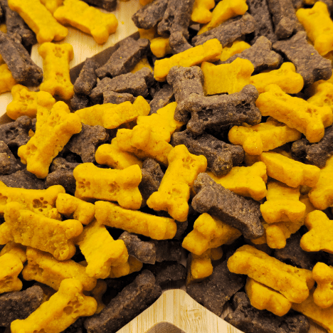 Close-up view of Bacon-Egg Pawfection Dog Treats by Glamorous Pups. These bone-shaped treats feature a vibrant mix of yellow and brown colors, highlighting the delicious bacon and egg flavors. Perfect for pet owners looking for nutritious and flavorful dog treats.