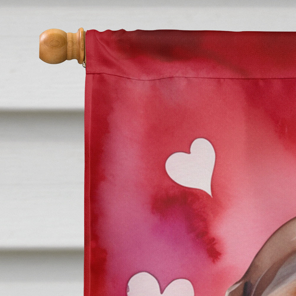 Glamorous Pups : American English Coonhound My Valentine House Flag