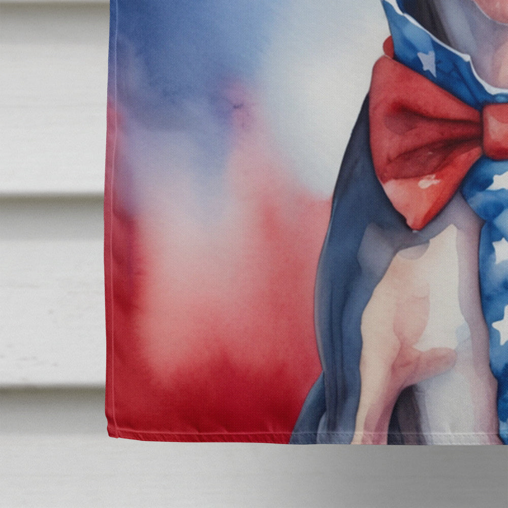 Glamorous Pups : American Hairless Terrier Patriotic American House Flag