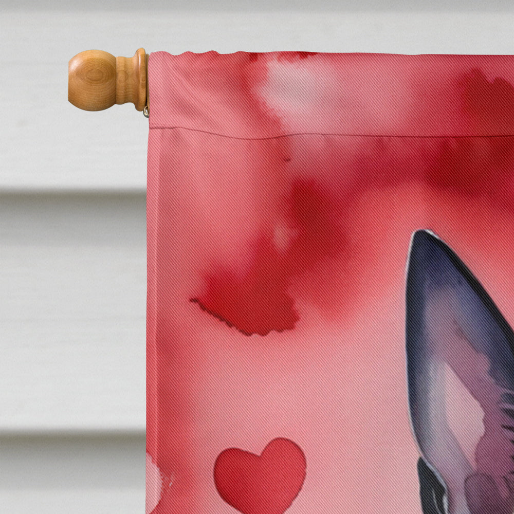 Glamorous Pups : Belgian Malinois My Valentine House Flag