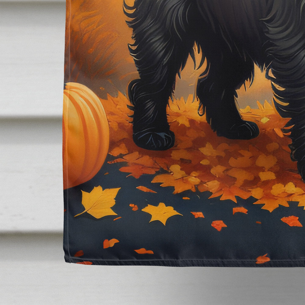 Glamorous Pups : Black Cairn Terrier Fall House Flag