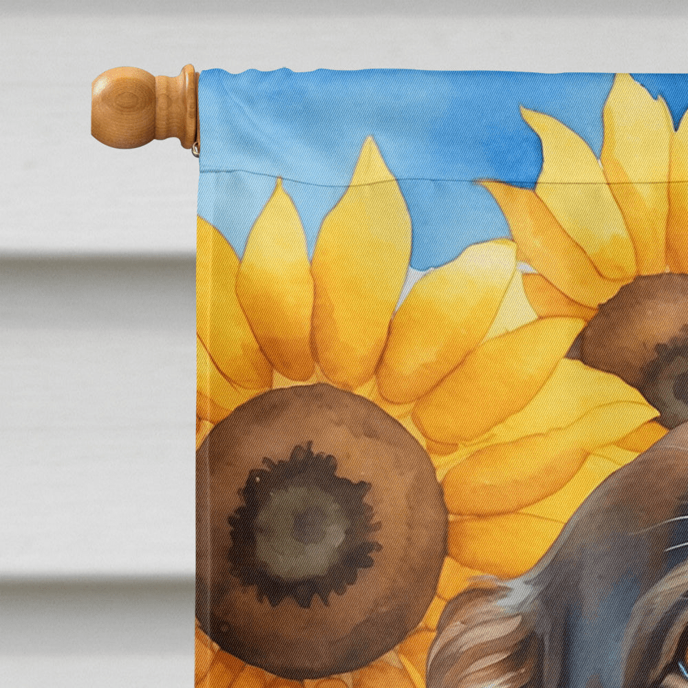 Glamorous Pups : Boykin Spaniel in Sunflowers House Flag