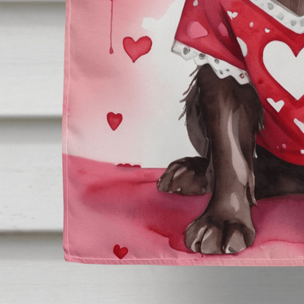 Glamorous Pups : Boykin Spaniel My Valentine House Flag