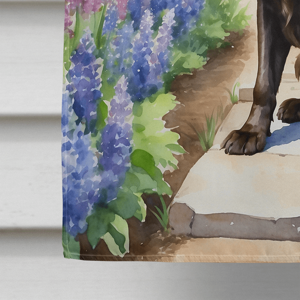 Glamorous Pups : Boykin Spaniel Spring Path House Flag