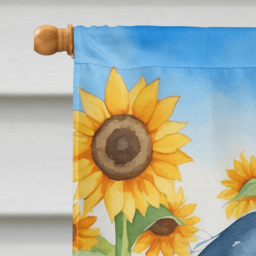 Glamorous Pups : Cavalier Spaniel in Sunflowers House Flag
