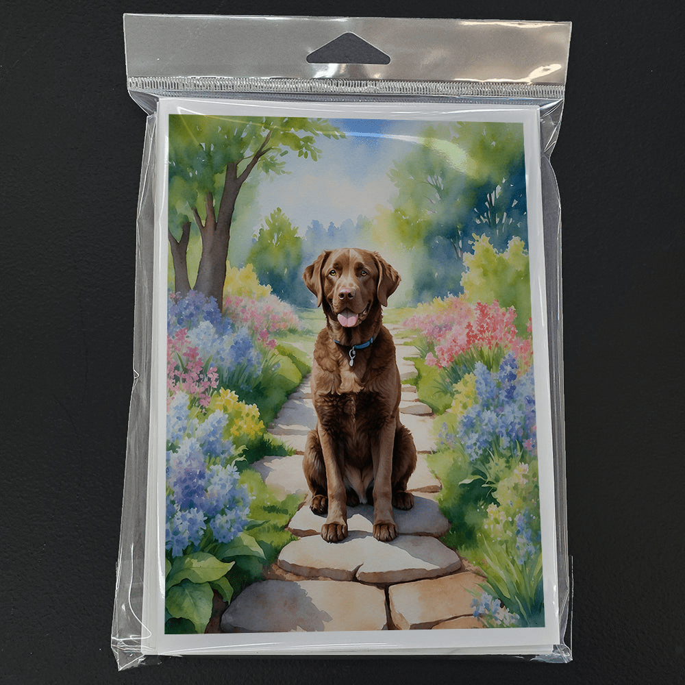 Glamorous Pups : Chesapeake Bay Retriever Spring Path Greeting Cards Pack of 8