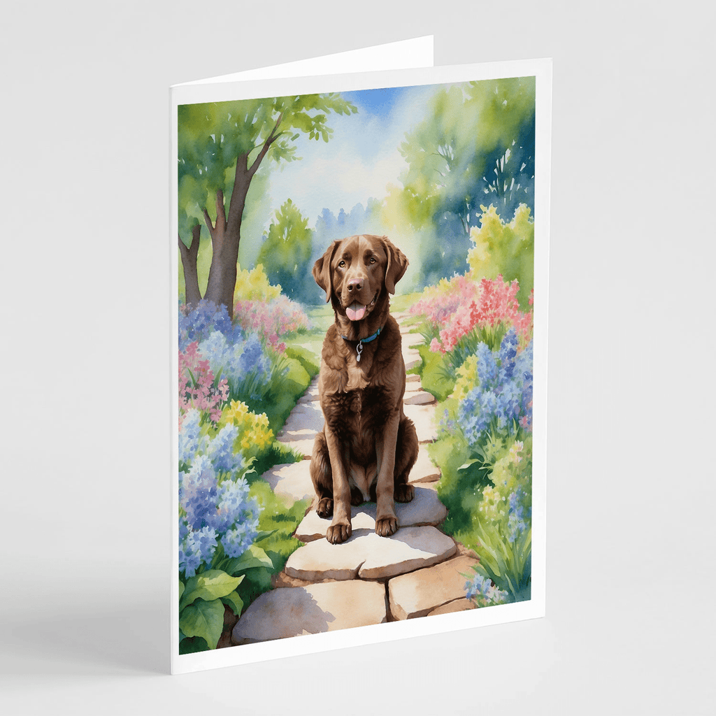 Glamorous Pups : Chesapeake Bay Retriever Spring Path Greeting Cards Pack of 8