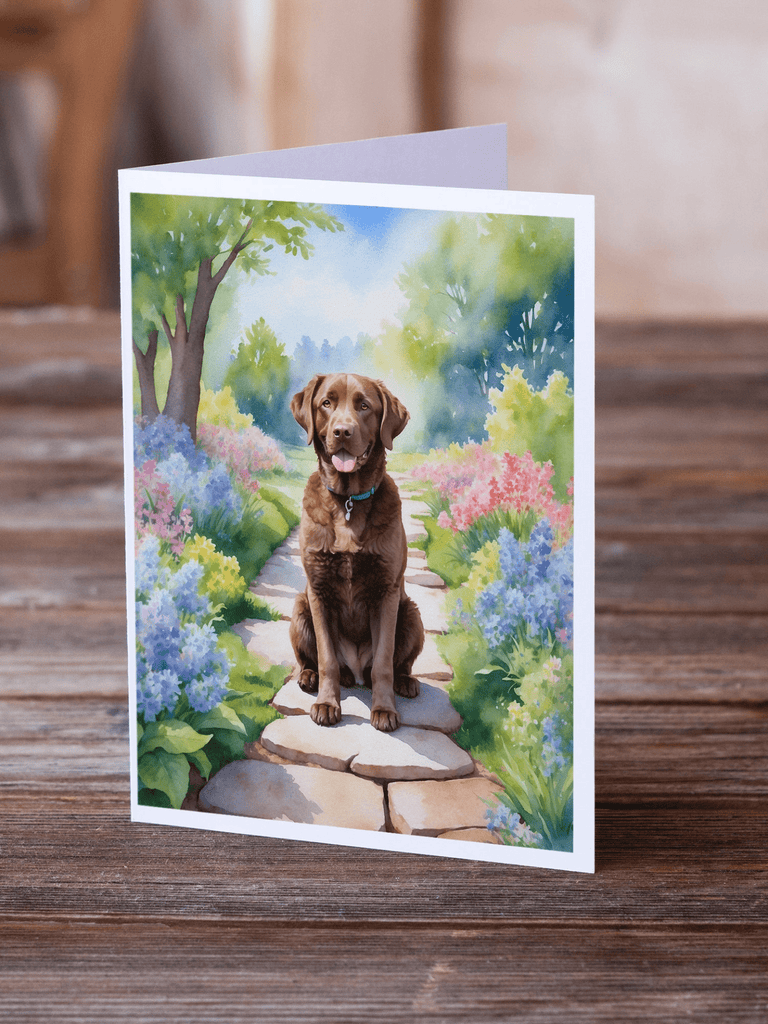 Glamorous Pups : Chesapeake Bay Retriever Spring Path Greeting Cards Pack of 8