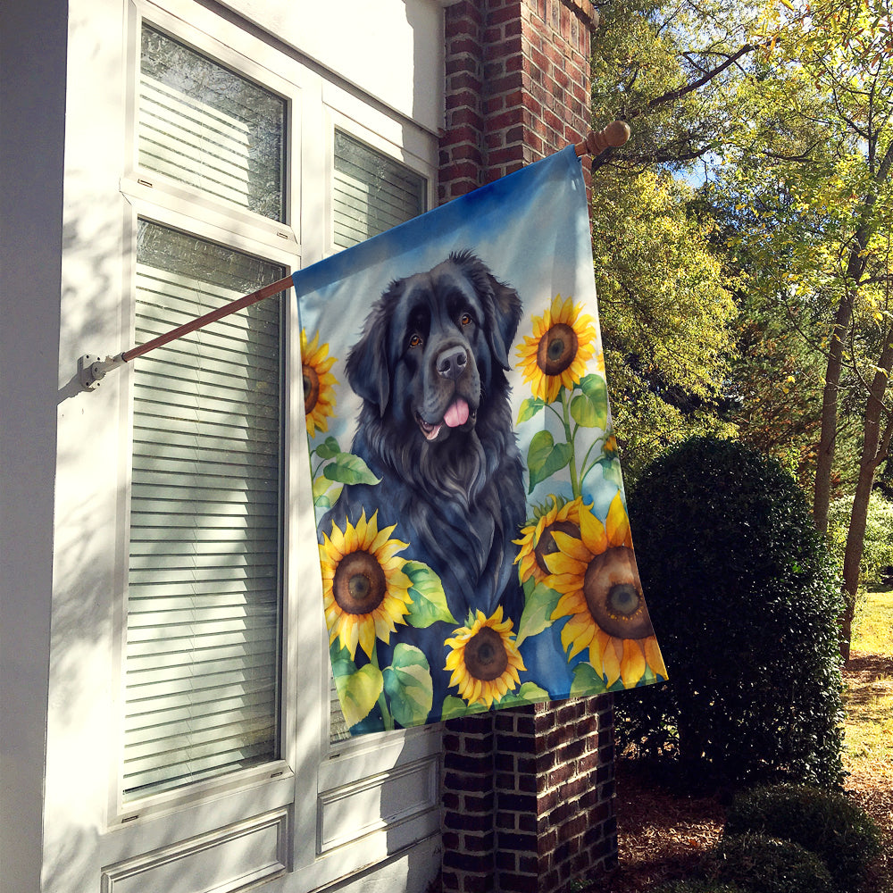 Glamorous Pups : Newfoundland in Sunflowers House Flag