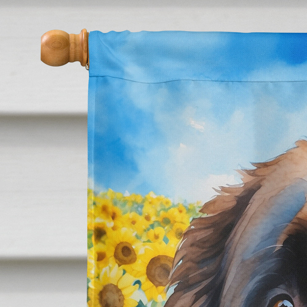 Glamorous Pups : Newfoundland in Sunflowers House Flag