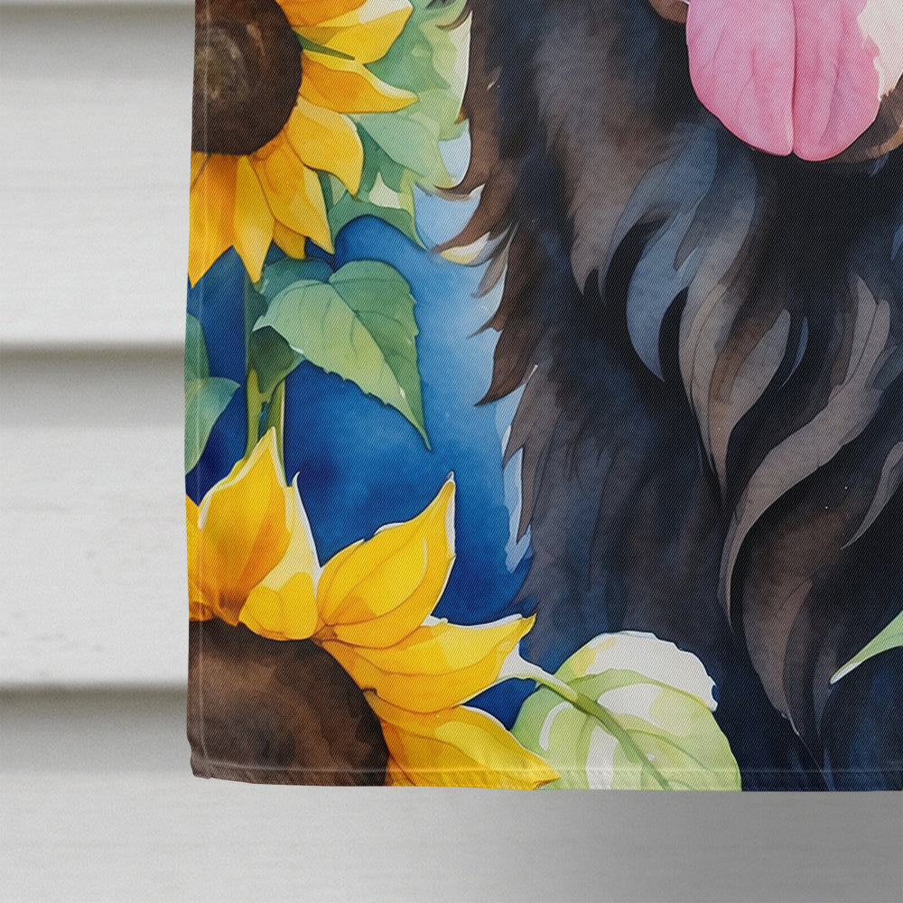 Glamorous Pups : Newfoundland in Sunflowers House Flag