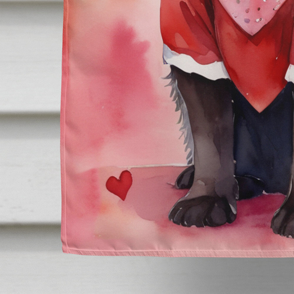 Glamorous Pups : Newfoundland My Valentine House Flag